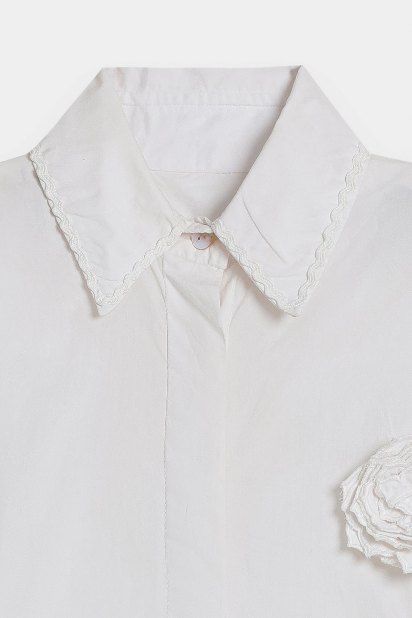 TOP (E0008/120/001) - Image 11
