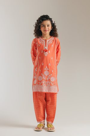 EMBROIDERED SUIT (E1079/402/325)