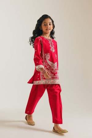 EMBROIDERED SUIT (E1208/402/306)
